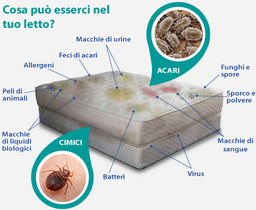 Cosa si nasconde nel tuo letto